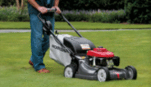 lawnmower_facts-image